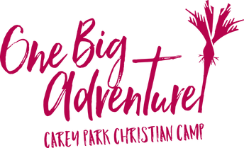 Onebigadventure F Carey