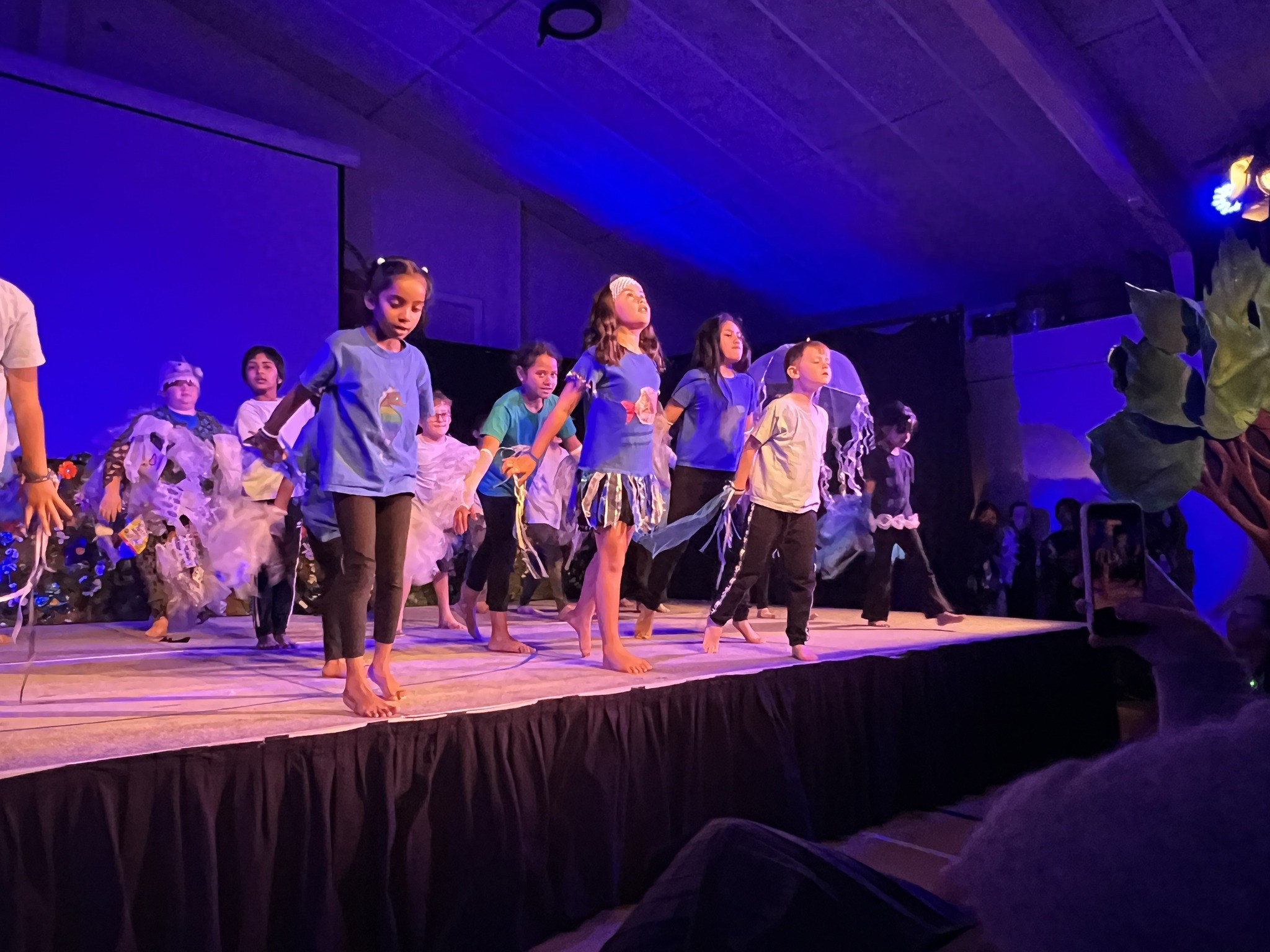 Te Timatanga - From the beginning