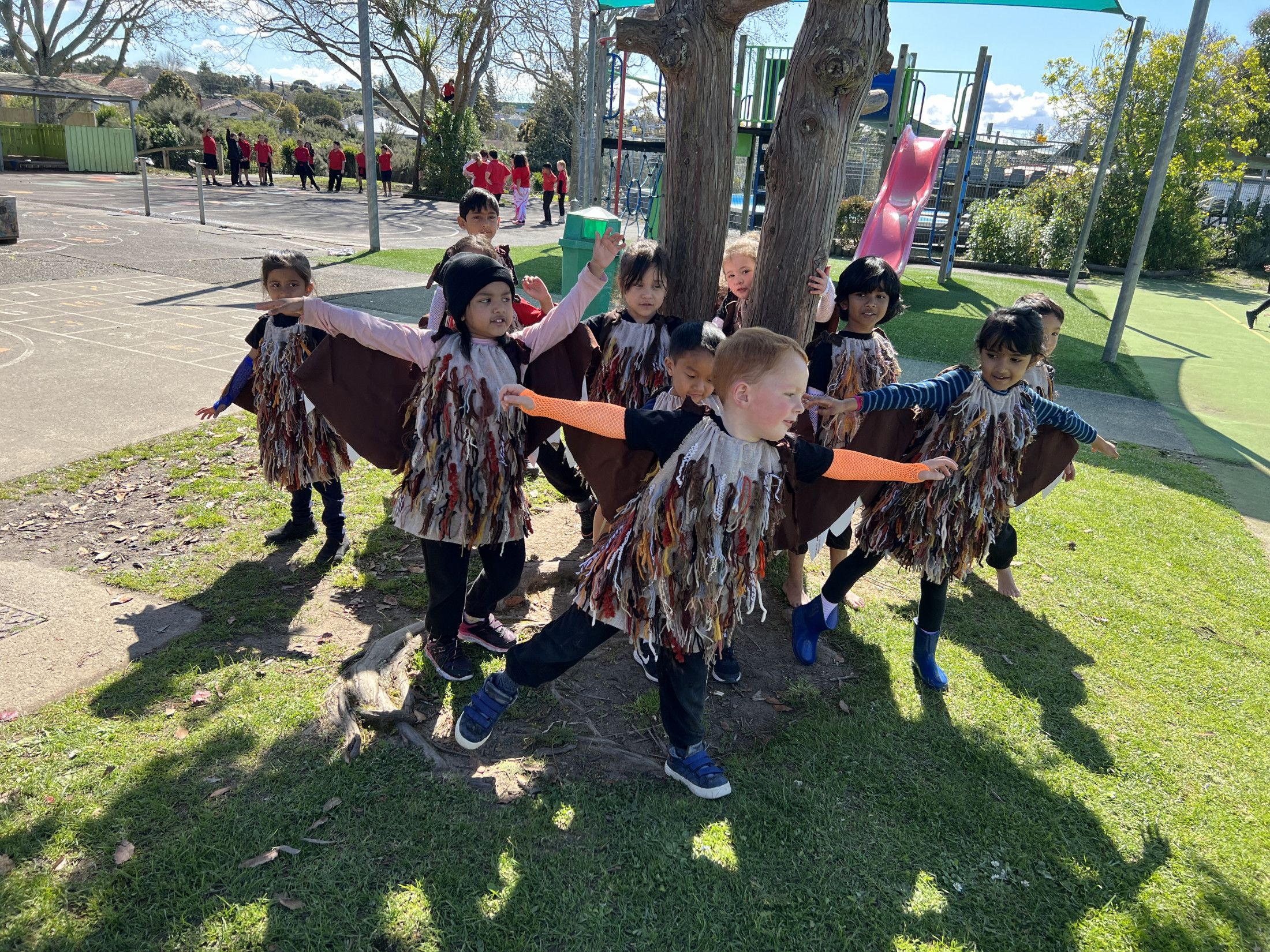 Te Timatanga - From the beginning